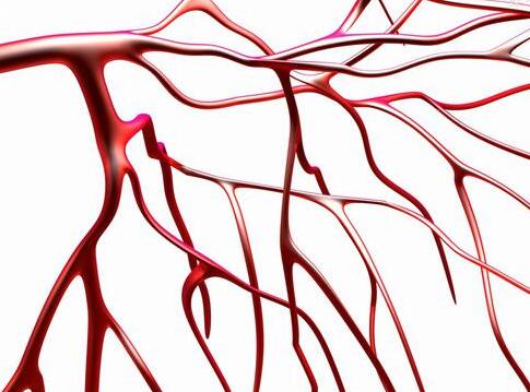 身体出现的一些情况提醒我们是不是血管塞住了