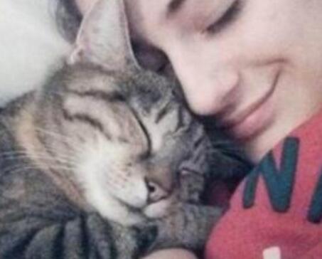 吸猫什么意思 猫咪对主人会有感情吗