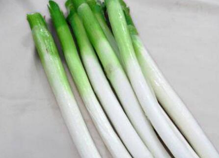 经常食用葱到底有多好 你还真没想到吧