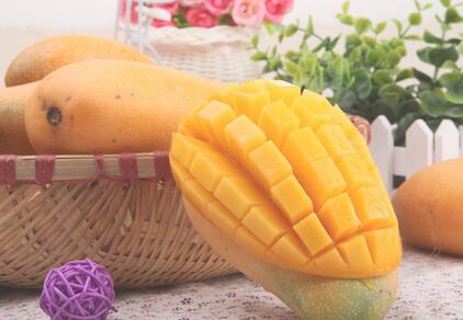 芒果的营养功效与食用价值