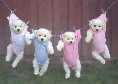 阴雨天晾衣服晾不干有霉味 臭味怎么办