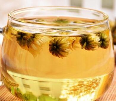 胎菊花茶的功效与禁忌有哪些