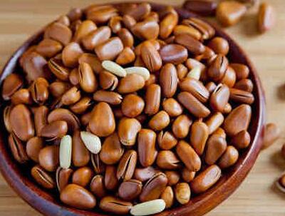 哪些人群不宜吃松仁