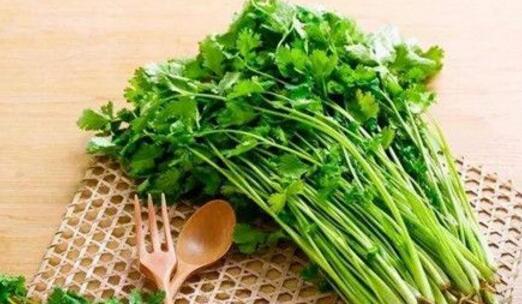 香菜怎么吃最有营养 香菜的功效与作用