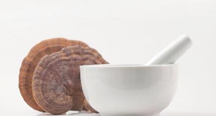 灵芝不能和哪些食物同吃 灵芝的作用是什么呢