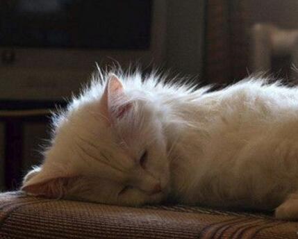 1分钟立马睡着的方法 睡不着的小妙招