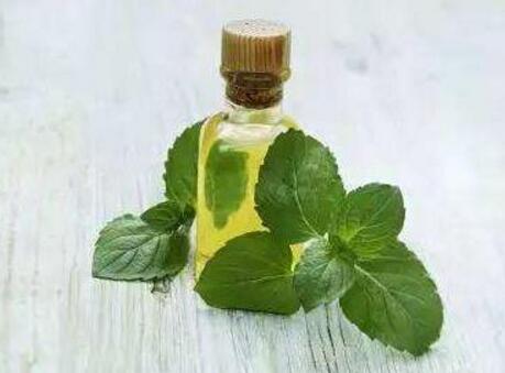 使用薄荷精油有哪些好处 薄荷精油正确使用方法