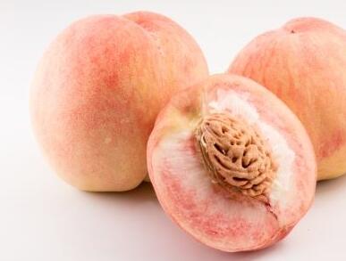 吃毛桃过敏怎么办 吃毛桃有哪些禁忌事项