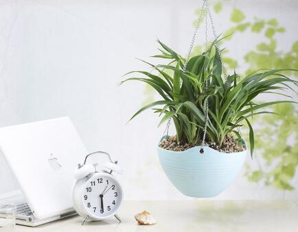 很多的饮食误区也是让女性不孕的原因