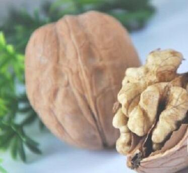 你知道为什么核桃可以补脑吗