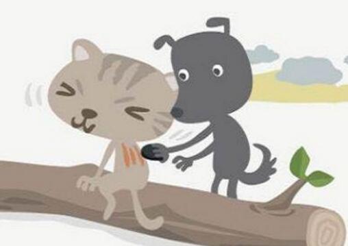 夜不能寐 到底是什么原因呢