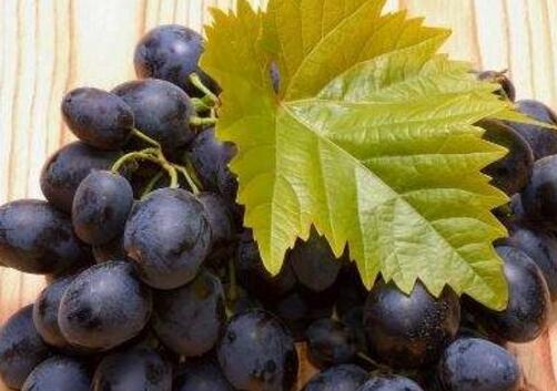 不该错过的2种水果 抗衰老还美味