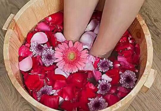 泡脚有助于养生 泡脚的好处特别多