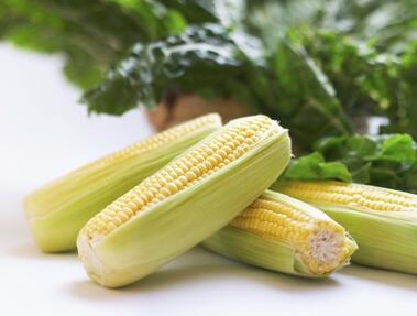 月经期间吃什么预防子宫肌瘤呢