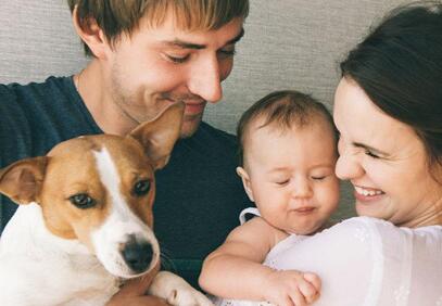 怀孕后还可以养宠物吗 孕期养宠物都有哪些危害呢