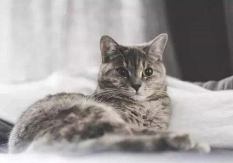 人为什么会过敏 知道过敏原后一定要隔离