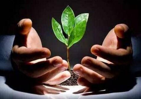 自我攻击是女性保护自我的方式吗？