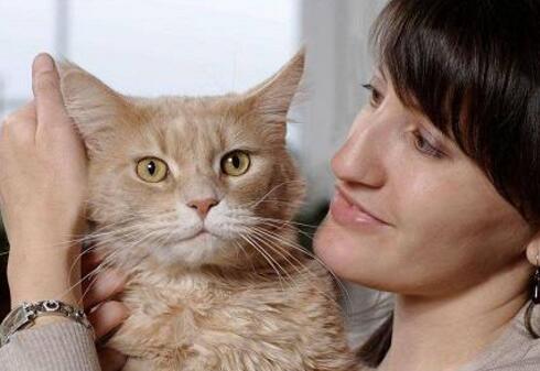 猫的人生哲学 养猫的女性来看看吧