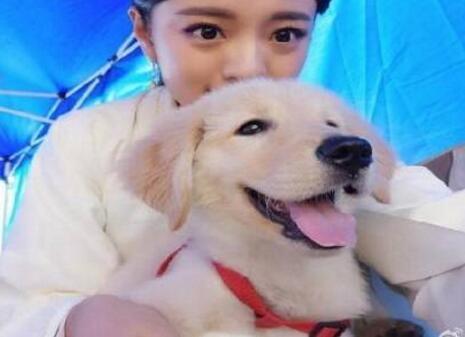 单身的女人 理想中的生活状态是什么样的呢