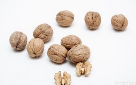 能不能通过饮食的方法来帮助补肾固精呢