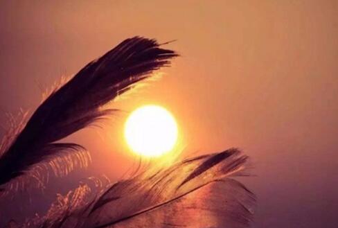 女神加我好友之后 我特别卑微