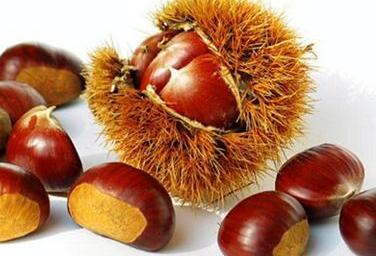 板栗如何保存 板栗的做法