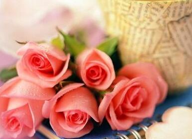 女人有什么甜蜜的谎言呢