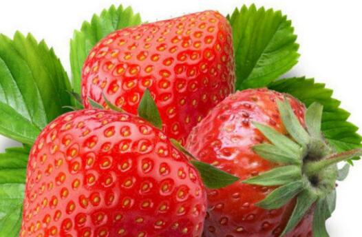 炎热夏天易犯困 推荐这几种食物提神又补气