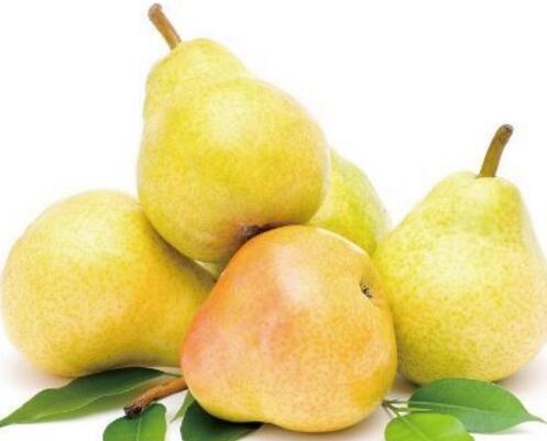 哪些水果膳食纤维含量最高 膳食纤维含量高的水果