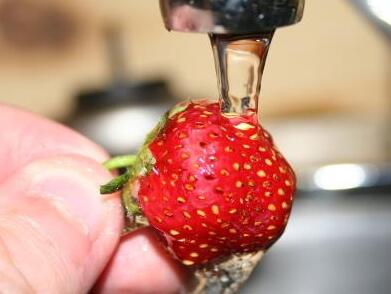 一起了解一下清洗草莓的技巧吧