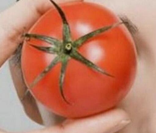 番茄可以美白吗 吃番茄的好处