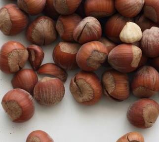 嘴馋女人如何减肥 推荐3款零食