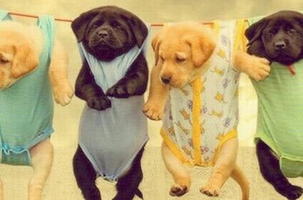 雾霾天能晒衣服吗 雾霾天注意事项