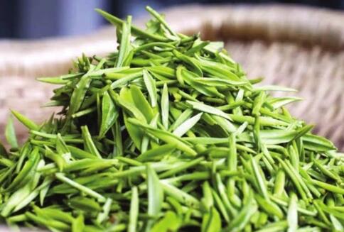 为什么隔夜茶不能喝呢