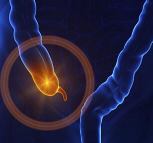 阑尾炎术后饮食吃什么好呢 阑尾炎术后饮食有哪些禁忌