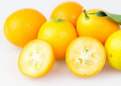 美容开胃还抗寒 盘点金桔的功效与作用