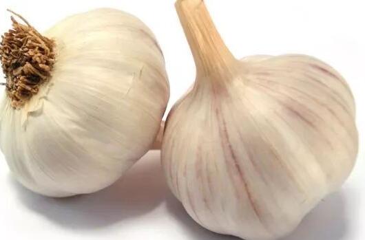 我们平时应该怎样保养声带呢