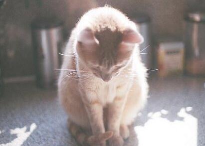 如何摆脱自己的嫉妒心