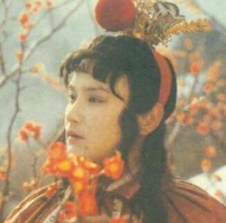 贾宝玉的爱情启蒙 谁是宝玉的爱情导师