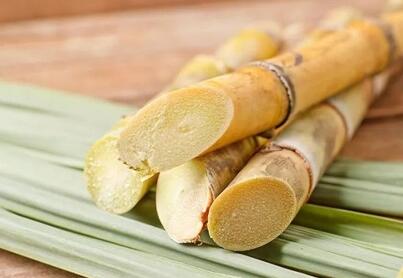 有时候食物也会变的有毒 而我们要如何去辨别呢