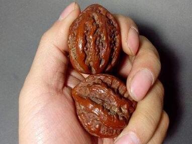 女性长期揉搓核桃 身体百病便可消除