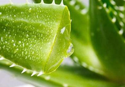 面对护肤的时候 几个护肤的小窍门 小秘密