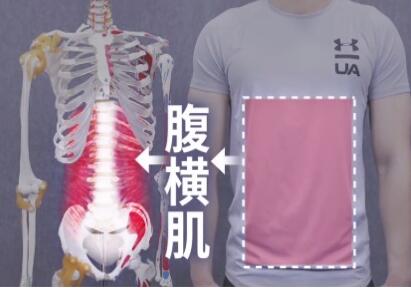 有没有一个简单又能瘦腰的方法呢