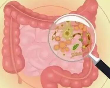 三天大便一次 一天大便三次哪种情况更糟糕