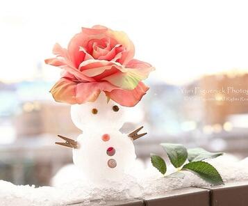 怎样使麻雀安静下来脑筋急转弯