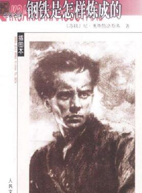 钢铁是怎样炼成的好词好句你知道哪些