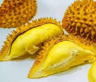 榴莲的好处和坏处和一些功效是什么
