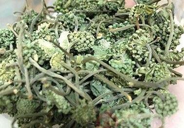 三七粉究竟有什么功效和作用呢