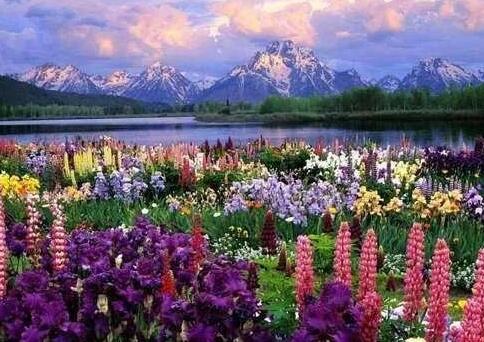 最容易结婚的4种姑娘  看看有没有你