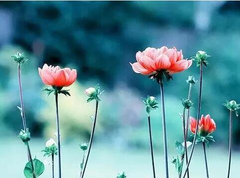 伤感文艺句子 文艺有深意的句子